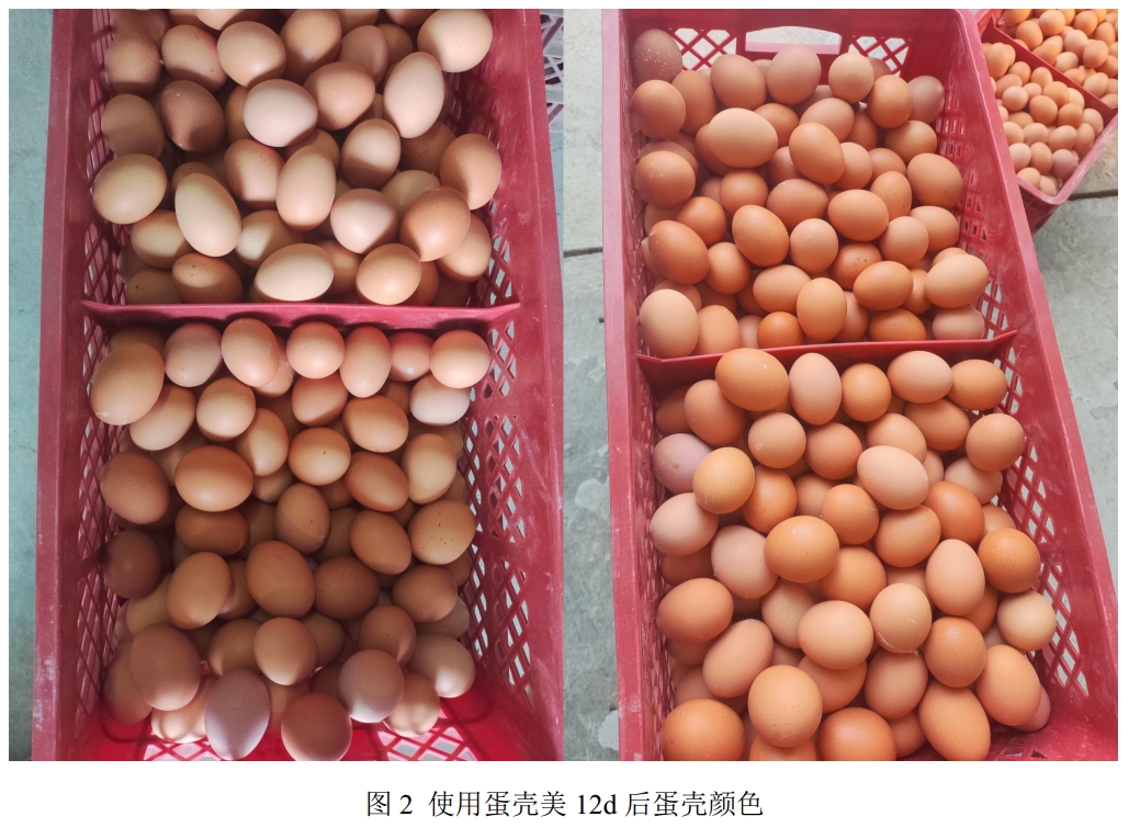 http://mmbiz.qpic.cn/sz_mmbiz_jpg/Ib7jnteNh8fHVbbWianr4PbZmTicAb7Mdg9USU8ahQ5C954q42YHCk9Z2bcOricWibTYgHdHiaG31ia11fDHkW4yMucQ/0?from=appmsg