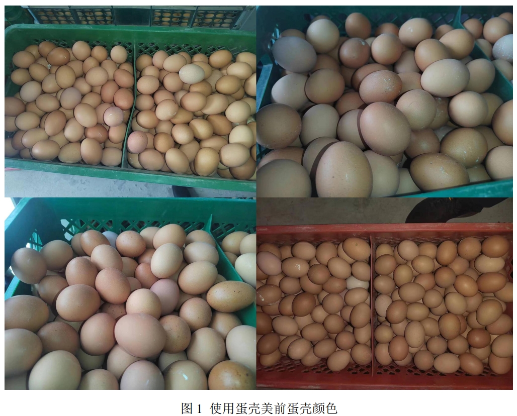 http://mmbiz.qpic.cn/sz_mmbiz_jpg/Ib7jnteNh8fHVbbWianr4PbZmTicAb7Mdgh1Ijzicr73e671fKmLo8Ib59fdgMVN4BIia60enTPumxraUVPHMSdL7g/0?from=appmsg